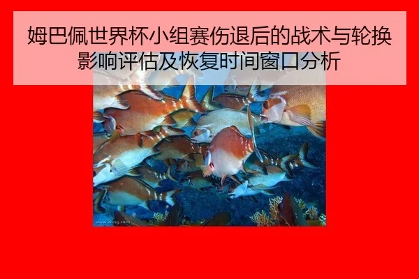 姆巴佩世界杯小组赛伤退后的战术与轮换影响评估及恢复时间窗口分析